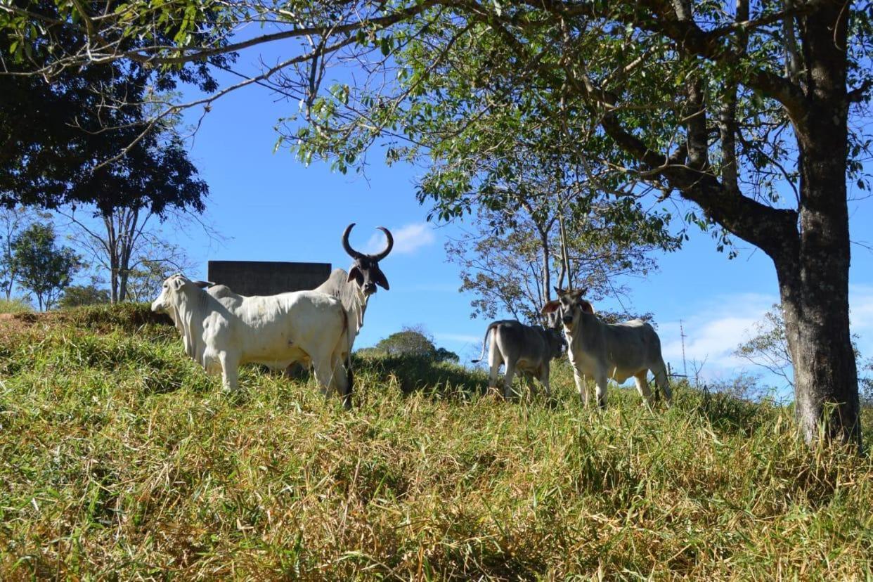 Hotel Fazenda Tucano Capim Branco Exteriér fotografie